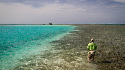 Los Roques