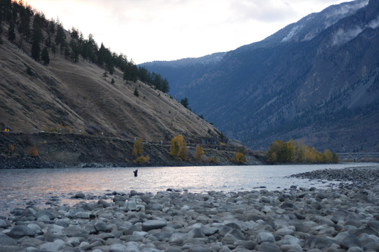 Thompson River Steelhead | Save WILD