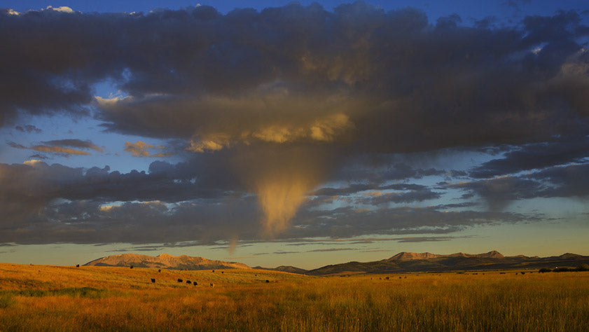 Federal Public Land. Our American Identity