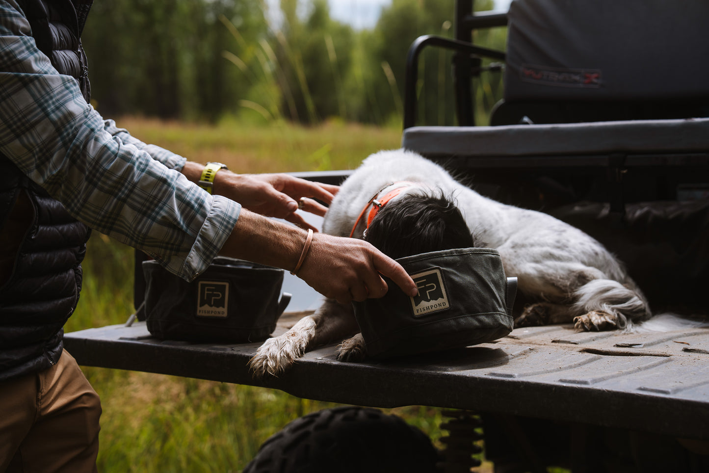 dog eating from bowl