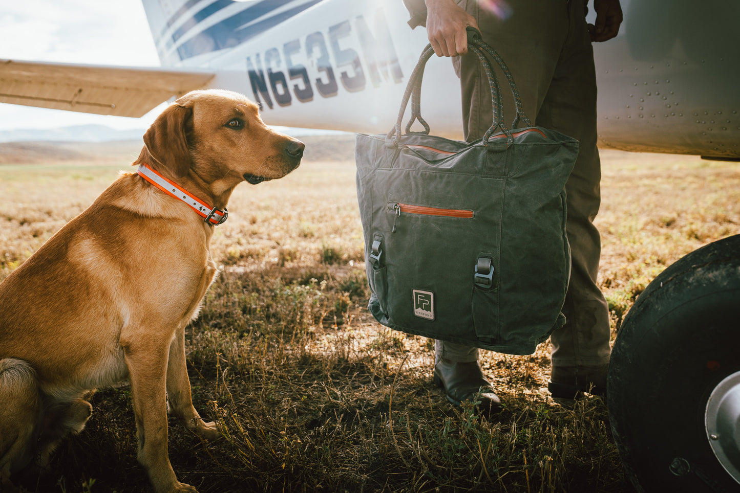 Person holding a green bag with a dog sitting on a grassy field near an airplane.