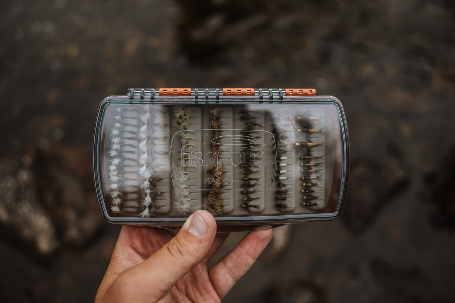 Tacky Pescador Fly Box - Medium - Clear